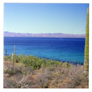 Azulejo De Cerâmica México, Baja California Sur, Mulege, Bahia 2
