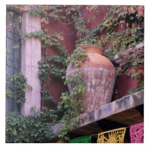 Azulejo De Cerâmica México, San Miguel de Allende, Ivy, pote de argila