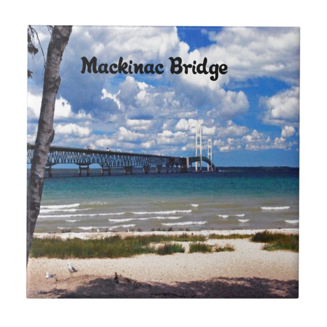 Azulejo De Cerâmica Michigan (Frente)