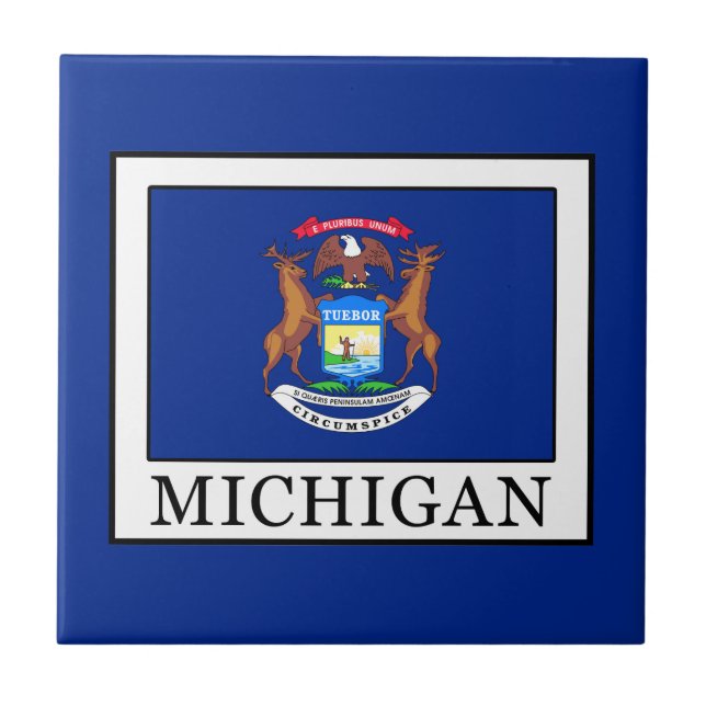 Azulejo De Cerâmica Michigan (Frente)