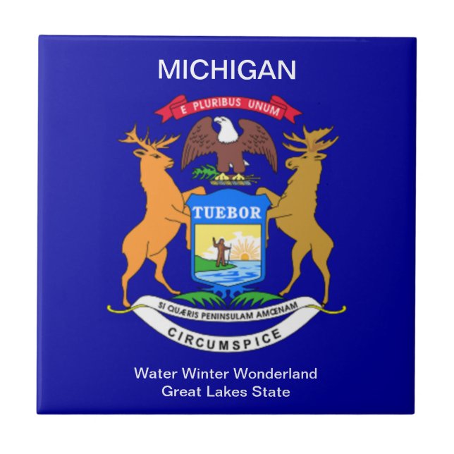 Azulejo De Cerâmica Michigan Flag (Frente)