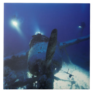 Azulejo De Cerâmica Micronésia, Palau, Patrimônio Mundial. Divers