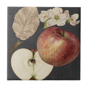 Azulejo De Cerâmica Midnight Harvest II