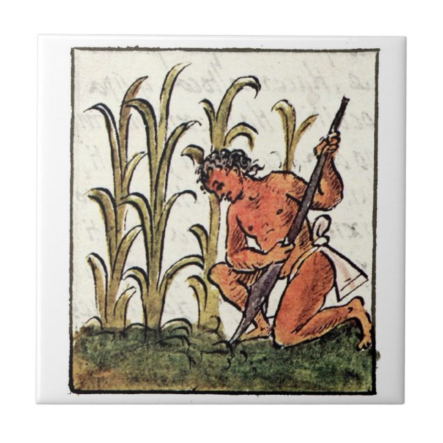 Azulejo De Cerâmica Milho De Cultura De Aztec (Frente)