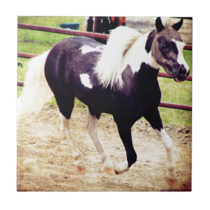 Azulejo De Cerâmica Mini cavalo na liberdade