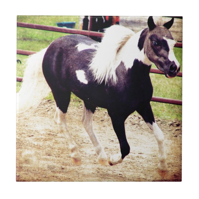 Azulejo De Cerâmica Mini Cavalo na Liberdade (Frente)