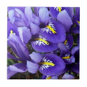 Azulejo De Cerâmica Miniatura Azul Levanta Primavera Floral