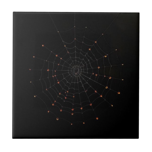 Azulejo De Cerâmica Minimalist Spider Web Halloween Ceramic Tile (Frente)