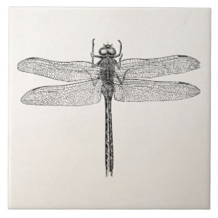 Azulejo De Cerâmica Modelo americano da mosca do dragão da libélula 
