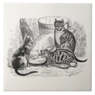 Azulejo De Cerâmica Modelo da ilustração do gato dos 1800s dos gatos