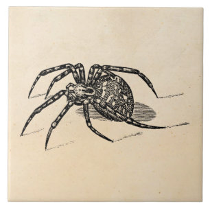 Azulejo De Cerâmica Modelo das aranhas da ilustração da aranha dos