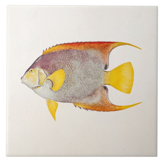 Azulejo De Cerâmica Modelo havaiano do impressão da antiguidade dos (Frente)