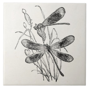 Azulejo De Cerâmica Modelo personalizado libélula do Virgin do vintage