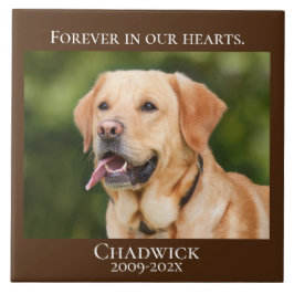 Azulejo De Cerâmica Modern Brown Add Photo Pet Memorial