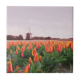 Azulejo De Cerâmica Moinho de vento alaranjado Holland do campo da
