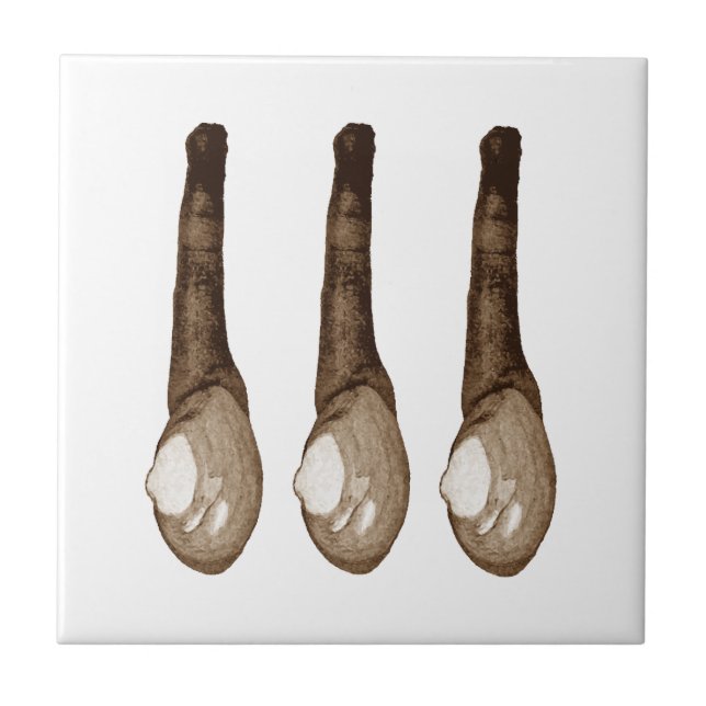 Azulejo De Cerâmica Moluscos Macio-Descascados (Frente)