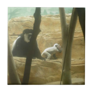 Azulejo De Cerâmica Monkey Play