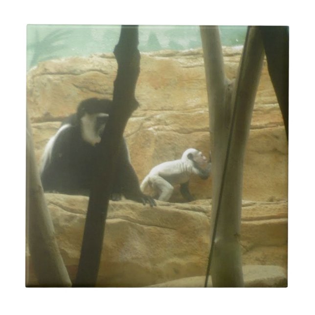 Azulejo De Cerâmica Monkey Play (Frente)