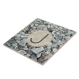 Azulejo De Cerâmica Monograma de Conchas Marinhas Costeiras 