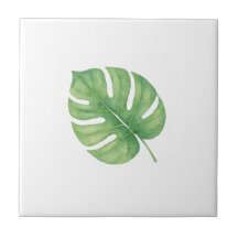 Monstera Gren Leaf