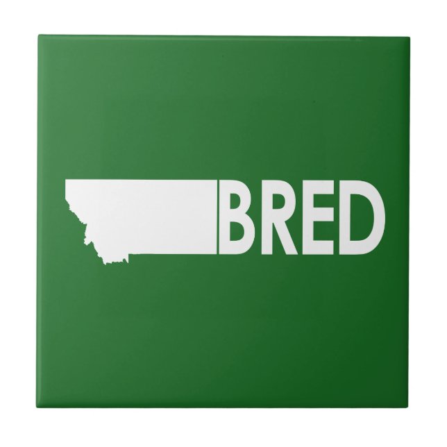 Azulejo De Cerâmica Montana Bred (Frente)