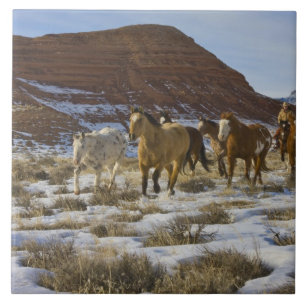 Azulejo De Cerâmica Montanhas Big Horn, Cavalos Correndo Na Neve