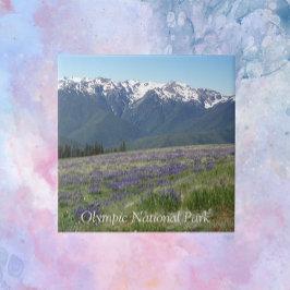 Azulejo De Cerâmica Montanhas e prados do Parque Nacional da olimpiada