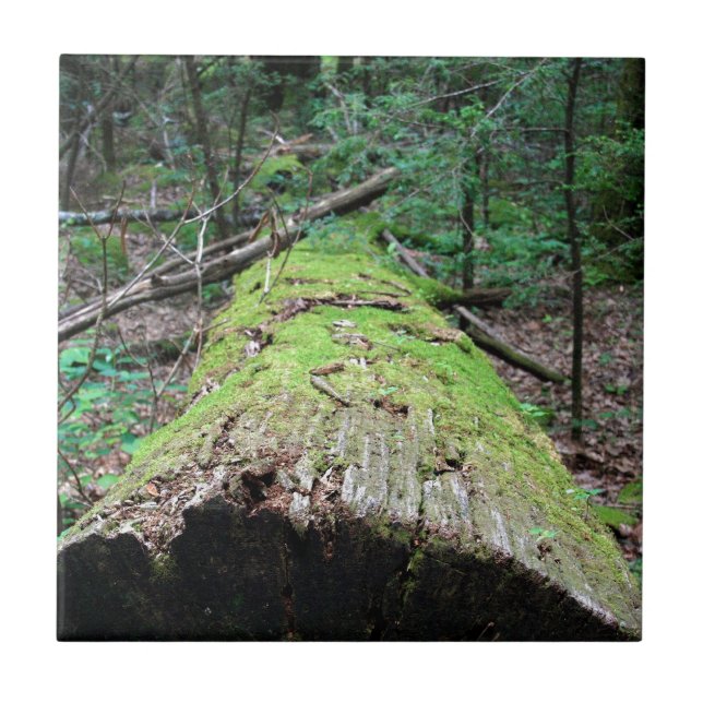 Azulejo De Cerâmica Montanhas fumarentos (Frente)