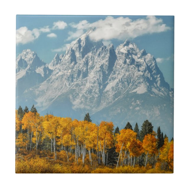Azulejo De Cerâmica Montanhas grandes de Teton na queda (Frente)