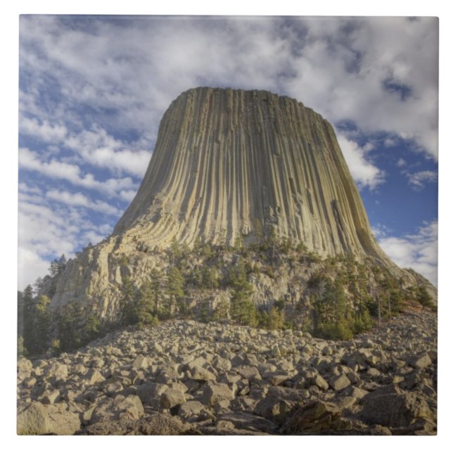 Azulejo De Cerâmica Monumento Nacional Devils Tower (Frente)