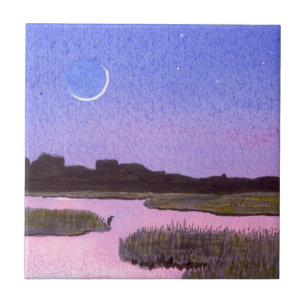 Azulejo De Cerâmica Moon e Herão Crescentes em Marsh