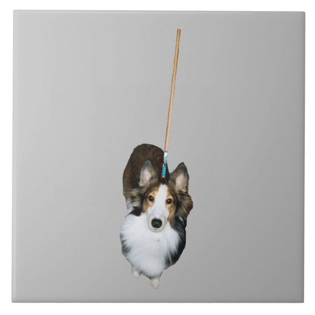 Azulejo De Cerâmica Mop Dog (Frente)