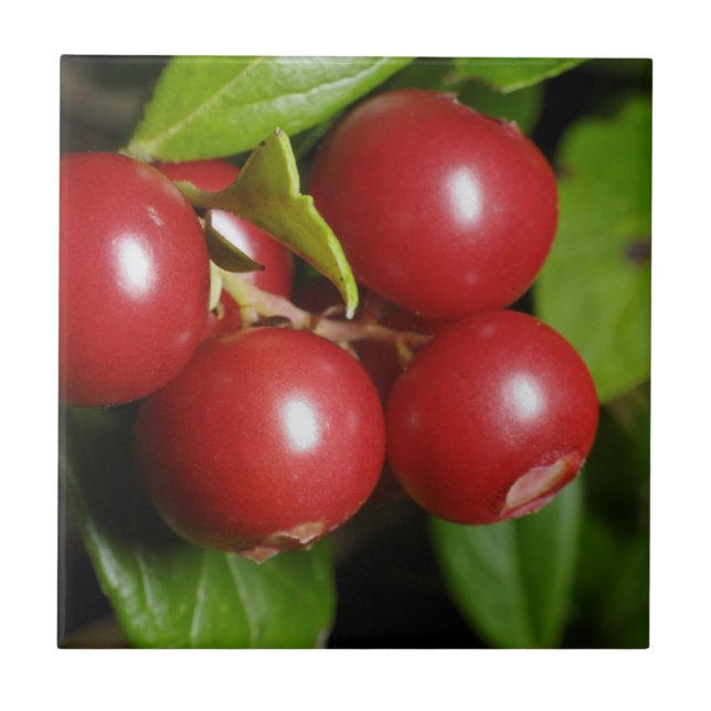 Azulejo De Cerâmica Morango (Frente)