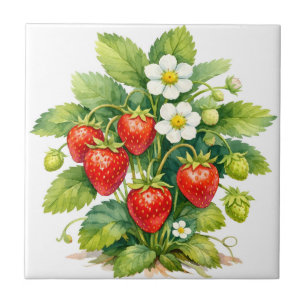 Azulejo De Cerâmica Morangos em aquarela e flor de baga