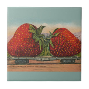 Azulejo De Cerâmica Morangos Giant Antiguidade Diversão da Fruta