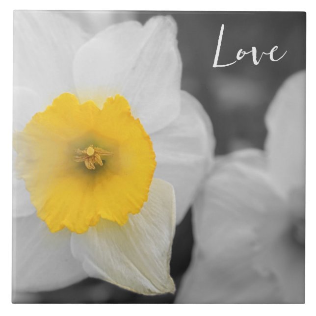 Azulejo De Cerâmica Morning Flower in Love (Frente)