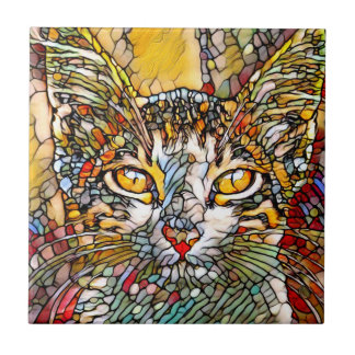 Azulejo De Cerâmica Mosaico Multicolorido Cat 697