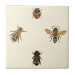 Azulejo De Cerâmica Moscas e besouros pelo Vision Studio<br><div class="desc">Este impressão do Vision Studio pode ser apenas para amantes de insetos! Moscas e besouros se reúnem sobre fundo creme,  enquadrados por uma borda negra. Se você gosta de entomologia,  ou conhece alguém que é,  esta é uma peça excelente!</div>