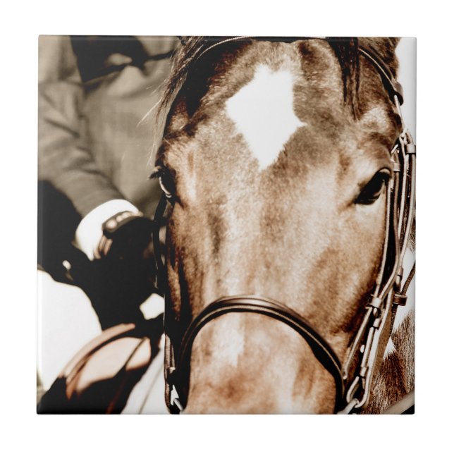 Azulejo De Cerâmica Mostrar Cavalo (Frente)