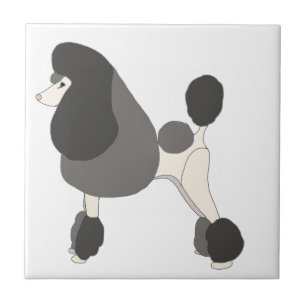 Azulejo De Cerâmica Mostrar Poodle