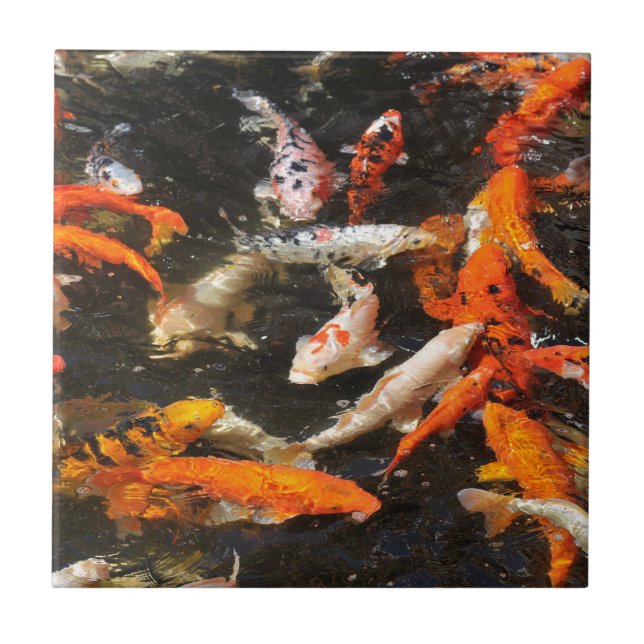 Azulejo De Cerâmica Muitas cores koi carp (Frente)