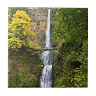 Azulejo De Cerâmica Multnomah Falls, Columbia River Gorge, Oregon