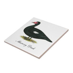 Azulejo De Cerâmica Muscovy Black Drake