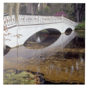 Azulejo De Cerâmica N.A., EUA, Carolina do Sul, Charleston.Doenças