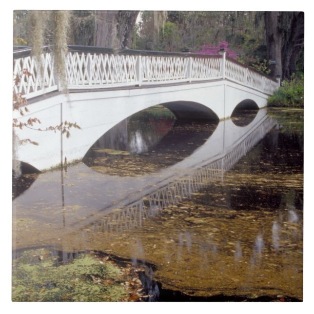 Azulejo De Cerâmica N.A., EUA, Carolina do Sul, Charleston.Doenças (Frente)
