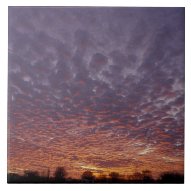 Azulejo De Cerâmica N.A., EUA, Novo México, perto de Las Cruces, (Frente)