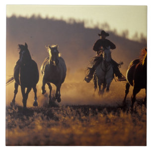 Azulejo De Cerâmica NA, EUA, Oregon, Seneca, Ponderosa Ranch, Cowboy 2