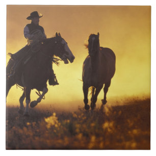 Azulejo De Cerâmica NA, EUA, Oregon, Seneca, Ponderosa Ranch, Cowboy 3