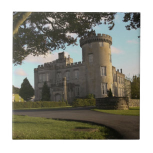 Azulejo De Cerâmica Na Irlanda, a entrada lateral do Castelo Dromoland