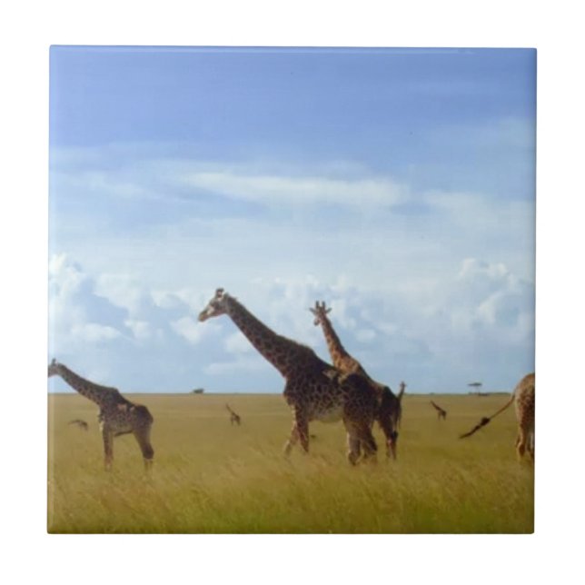 Azulejo De Cerâmica Nairobi National Park Girafas (Frente)